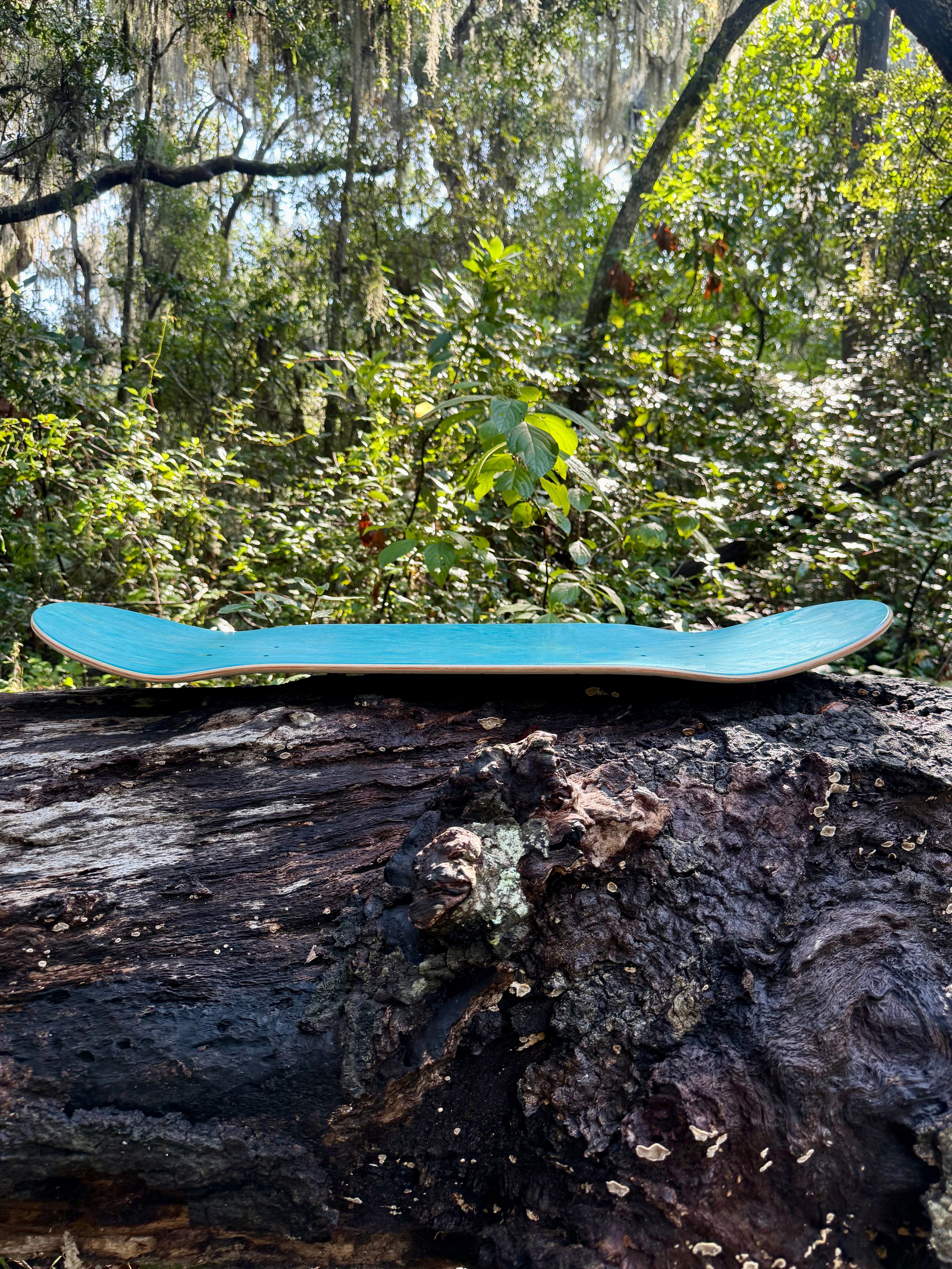Fiji Mermaid Skateboard (Signed By Artist R. Land)