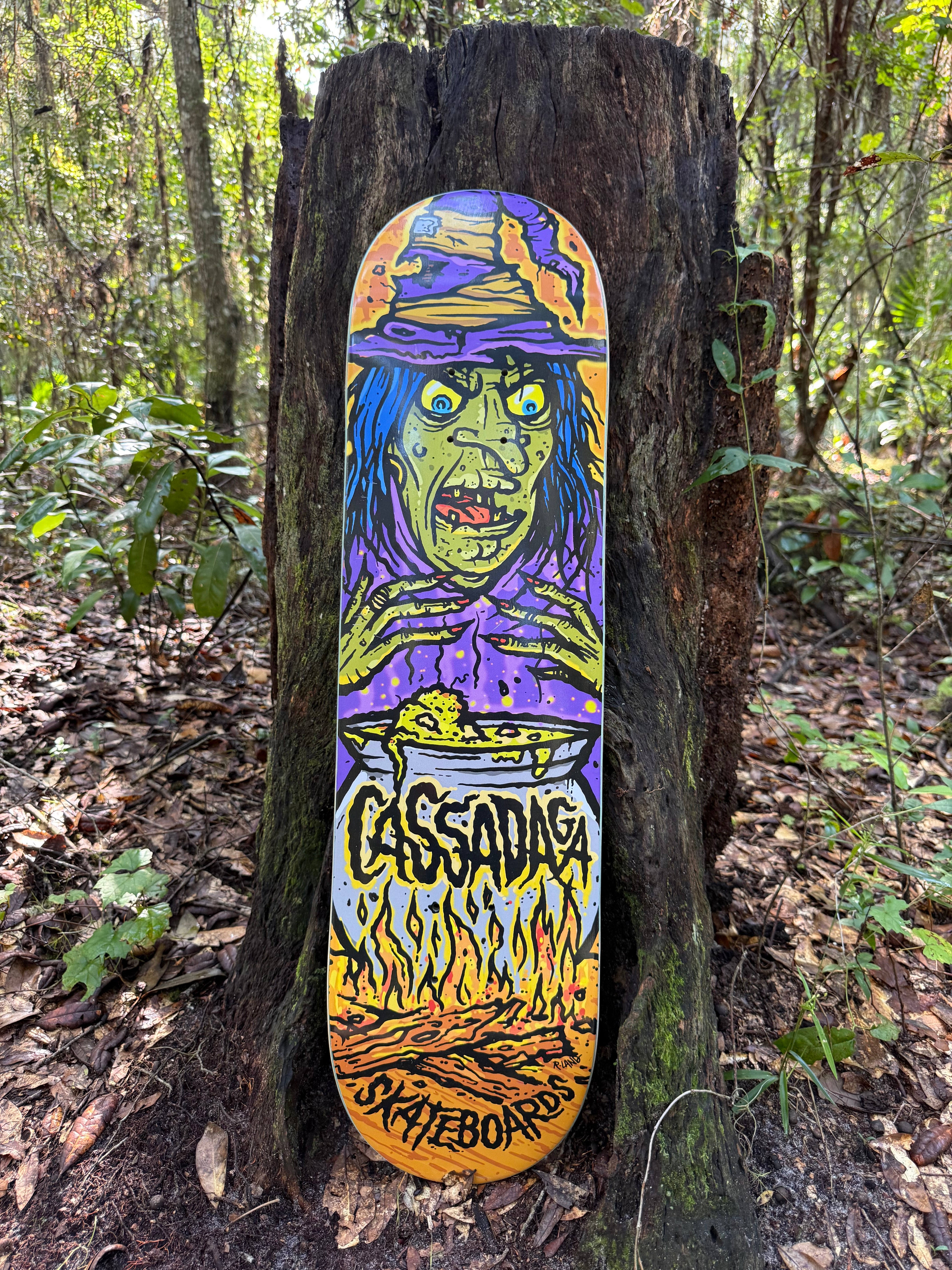 Witch Skateboard (Signed By Artist R. Land)